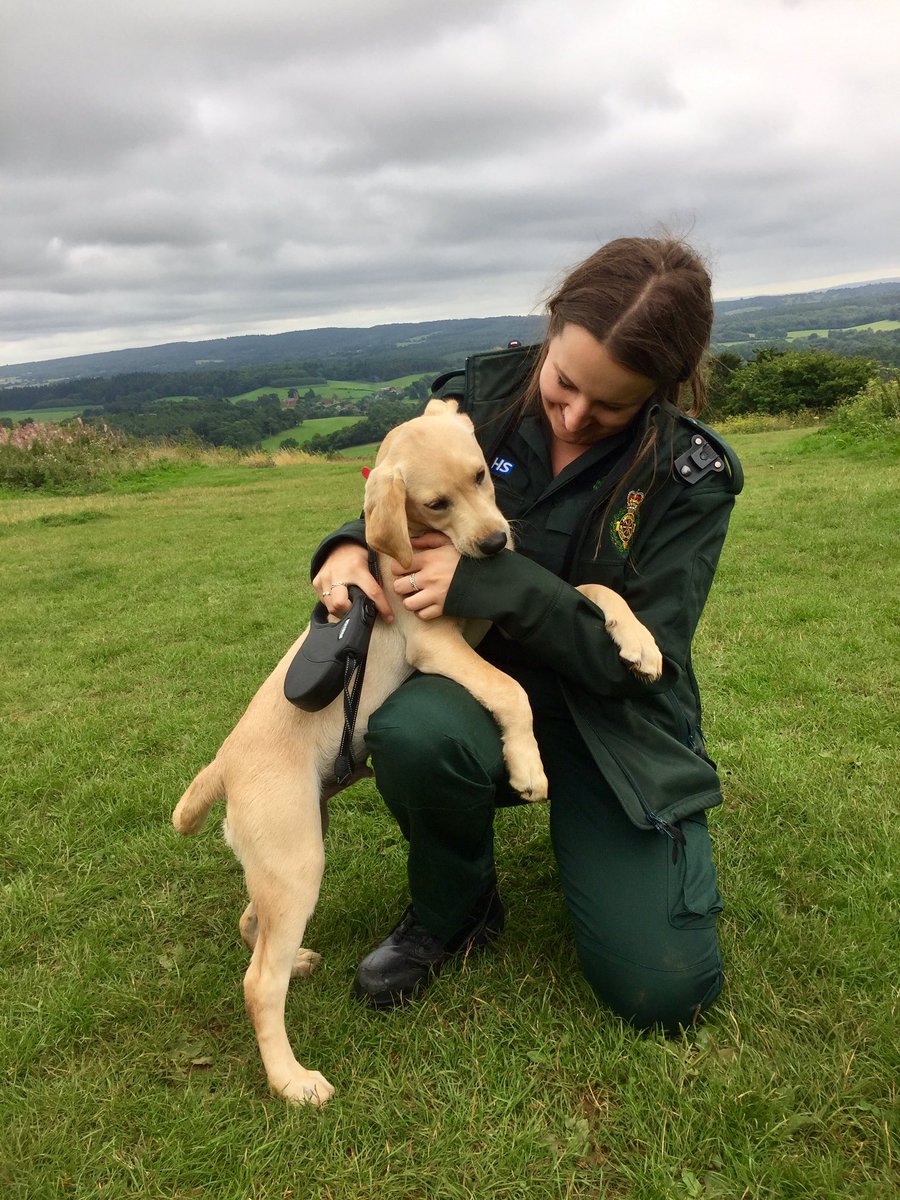 Krystal Chapman tweet media