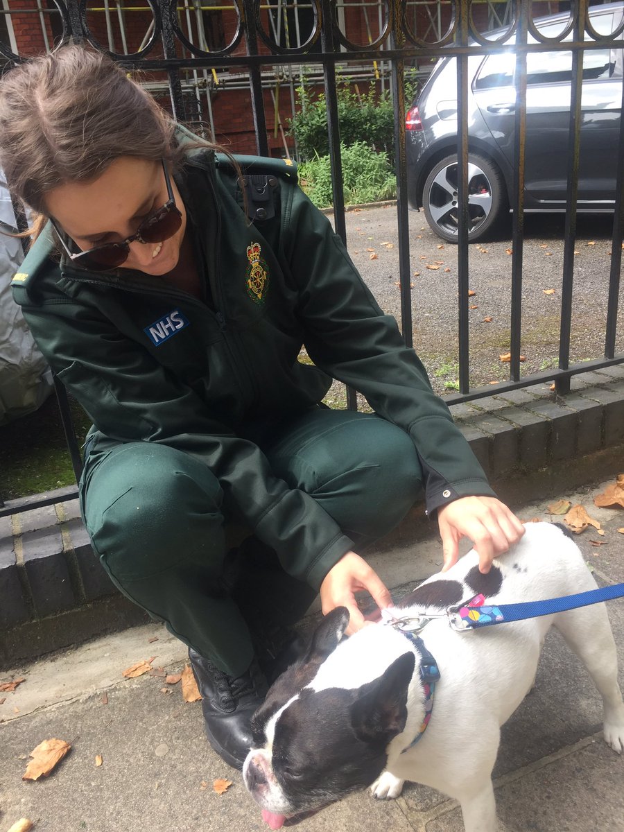 Krystal Chapman tweet media