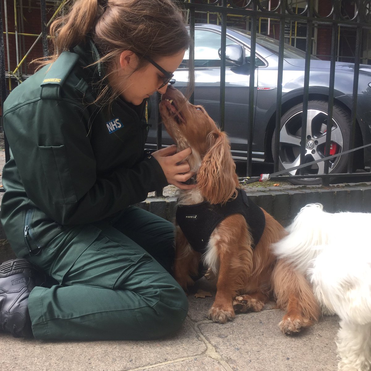 Krystal Chapman tweet media