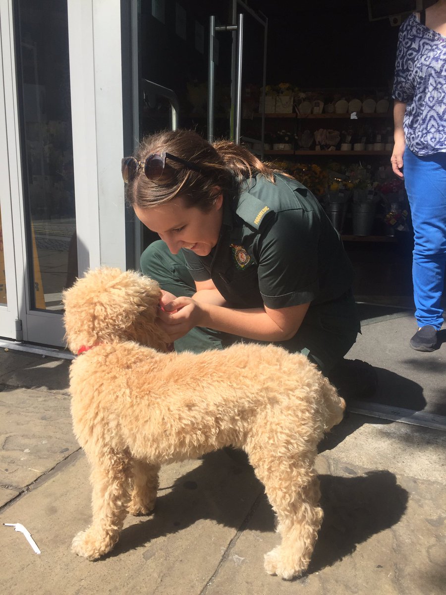 Krystal Chapman tweet media