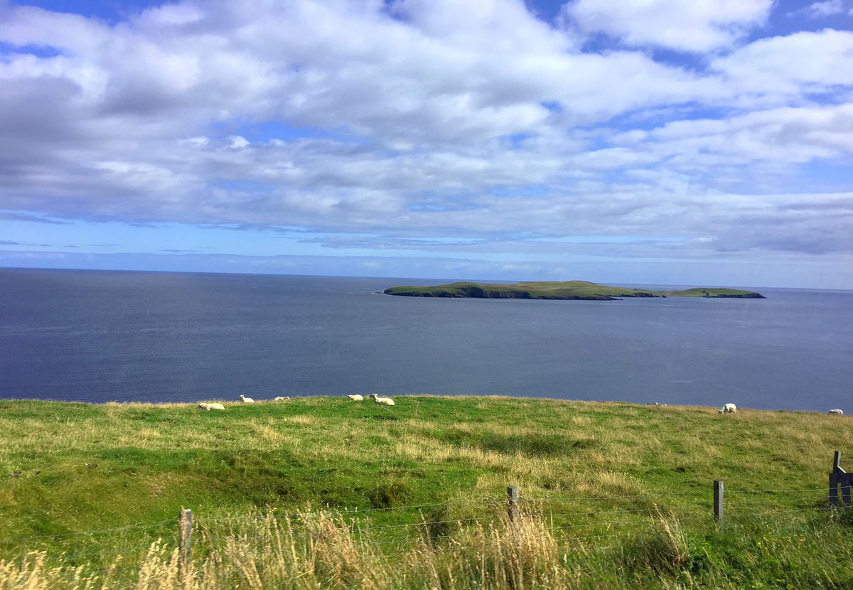 Hiyi everyone🐾Cubley has had a fun visit to <a href="/LSIAirport/">Sumburgh Airport</a> Shetland  🐾Arguably the cutest one in the world🐾✈️ The journey there is beautiful🐾