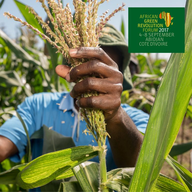 rodgers_kirwa's tweet photo. Gearing up for the 
#AGRF2017 forum in Abidjan . #SDG2 cannot be realised without the inclusion of youths. 4th-8th Sept #AgribusinessTalk254 https://t.co/wapKT9cFhG