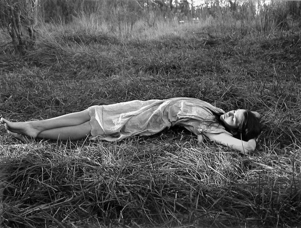 MagicPingPong✨ tweet media