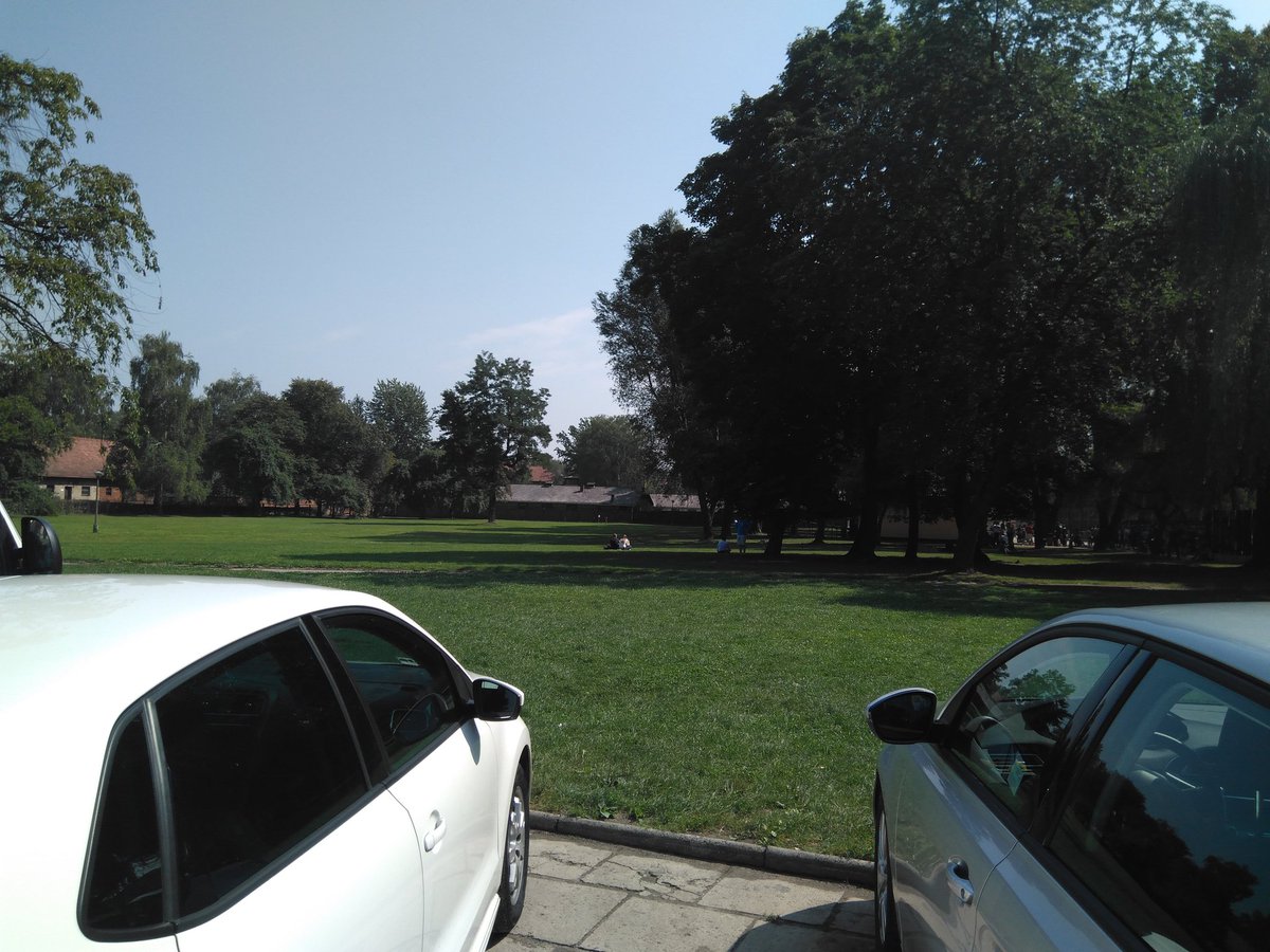 Parece un puto campo golf