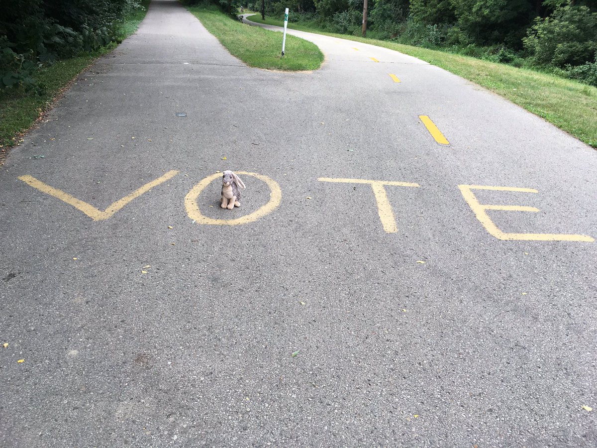 MauraOBrien61's tweet photo. If you don't like what's happening Traveler Rabbit has a message for you. #ThisisMadison #BikePathPSA https://t.co/djtwOTYjTy