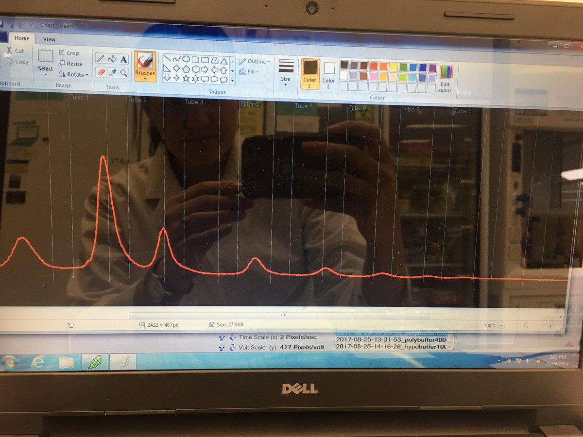 Naomi Mitchell tweet media