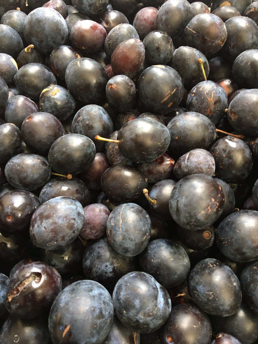 Iheartjam's tweet photo. Beautiful Shropshire damsons @BoltonMarkets perfect for Jammin' #reasonsilovebolton #somethingtown @OurBolton https://t.co/YqMm8Z2QyM