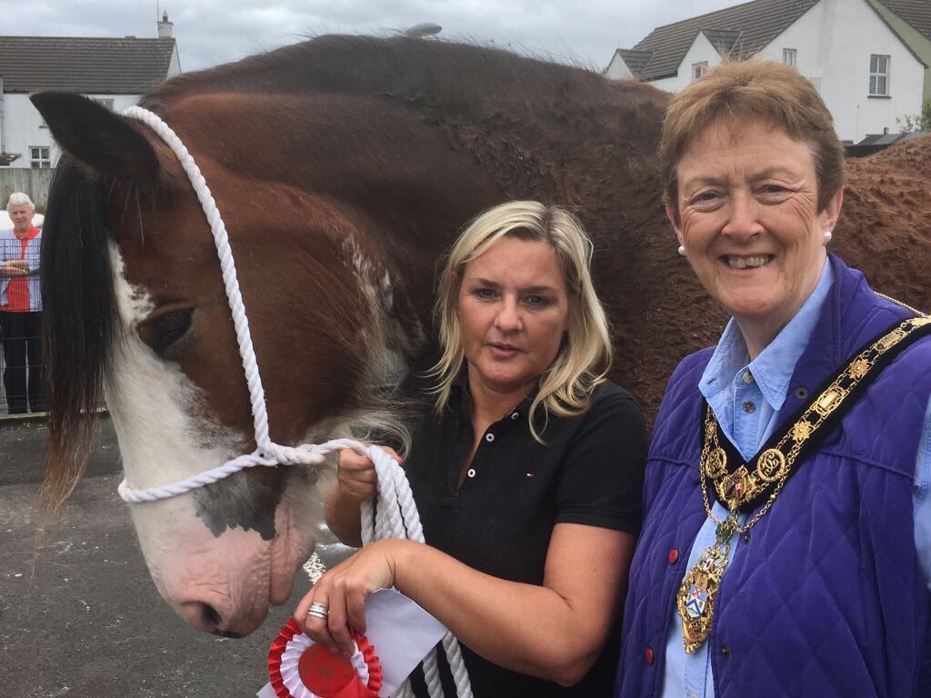 CausewayCouncil's tweet photo. The Mayor was at the Heavy Horse Show in Ballycastle today as part of build up to the Auld Lammas Fair. A fantastic spectacle in the town https://t.co/DFySJYMuT4
