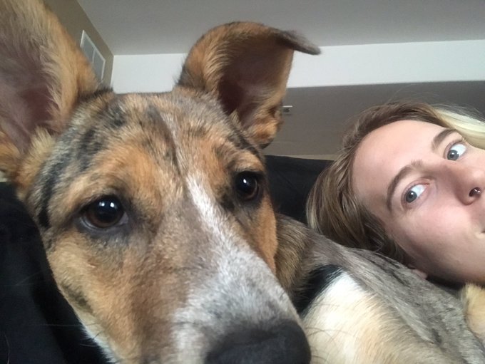 @dodo Here's my little babe Addie ✨🐕❤️ https://t.co/RX85jpWj1o<a class="tags" target="_blank" title="On Twitter" href="/?out=eyJ0eXAiOiJKV1QiLCJhbGciOiJIUzUxMiJ9.eyJpYXQiOjE3MjA3NTg3MDksImlzcyI6InR3cG9ybnN0YXJzLmNvbSIsIm5iZiI6MTcyMDc1ODcwOSwiZXhwIjoxNzUyMjk0NzA5LCJyZWRpcmVjdF91cmwiOiJodHRwczovL3R3aXR0ZXIuY29tL2RvZG8ifQ.a0sCpejsvo902JiKXmgXqJIP41Tw1_7OVzEP_90V9Kcf2mJopq_8NlP0GdKyxq-6M0Yoi9spPExoeIAzoBEgLQ">@dodo</a>