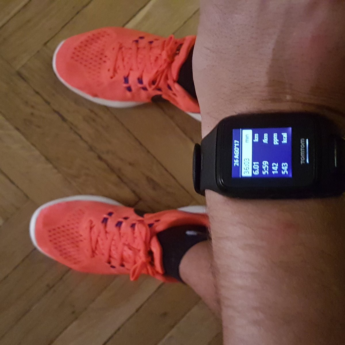 agrberty's tweet photo. Hoy carrera suave 6k más
#yoelegicorrer #tomtomspark #tomtomrunning #lunartempo2 #nikelunartempo2 #nikerunning #nrc #justdolt https://t.co/NUOCZmRlGZ