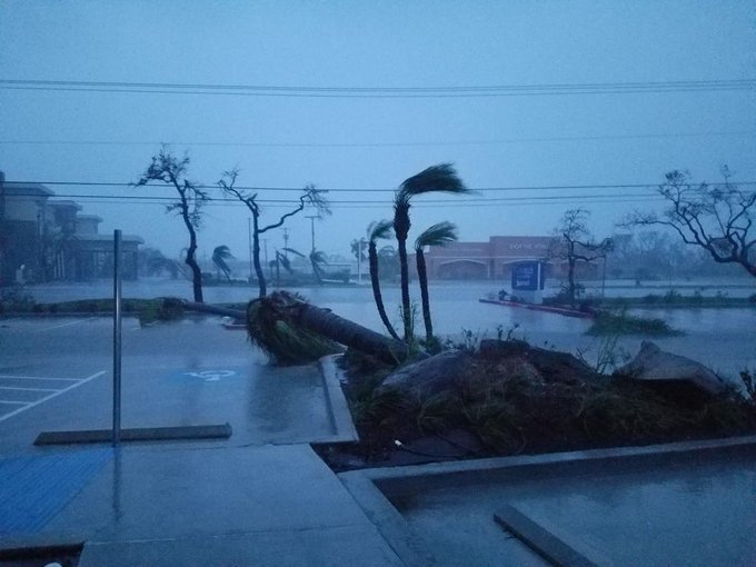 View image on Twitter View image on Twitter