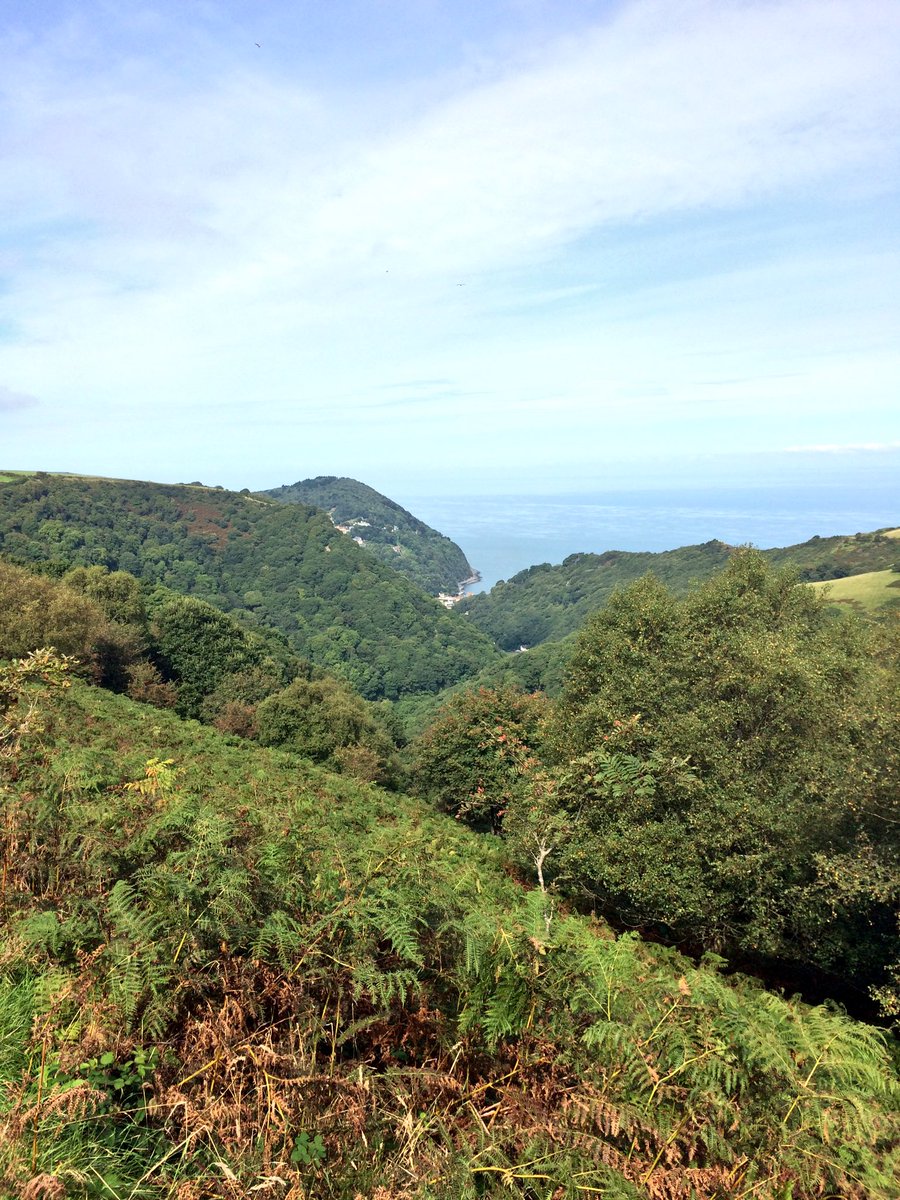 roscopackman's tweet photo. #TwoMoorsWay Day Eight.

#TheChains #Exmoor ➡️ #Cheriton ➡️ #Watersmeet ➡️ #Lynmouth
- 8 miles (14km). 

#Exmoor #Devon #Devonhour https://t.co/PPOzPYgsS0