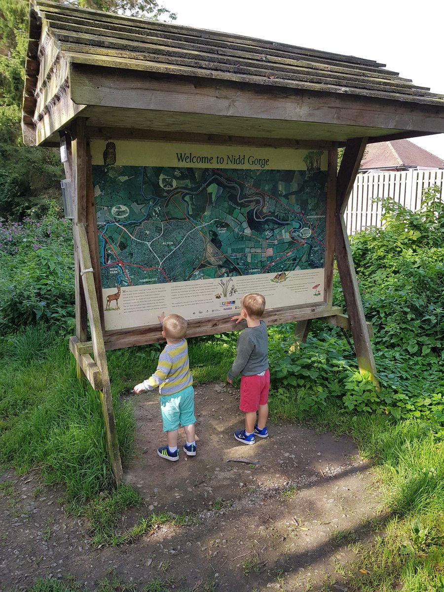 TheYorkshireDad's tweet photo. We have had a fun morning exploring the woodland and waters around Nidd Gorge a @WoodlandTrust walk in Knaresborough. https://t.co/QwBwVVgKnY