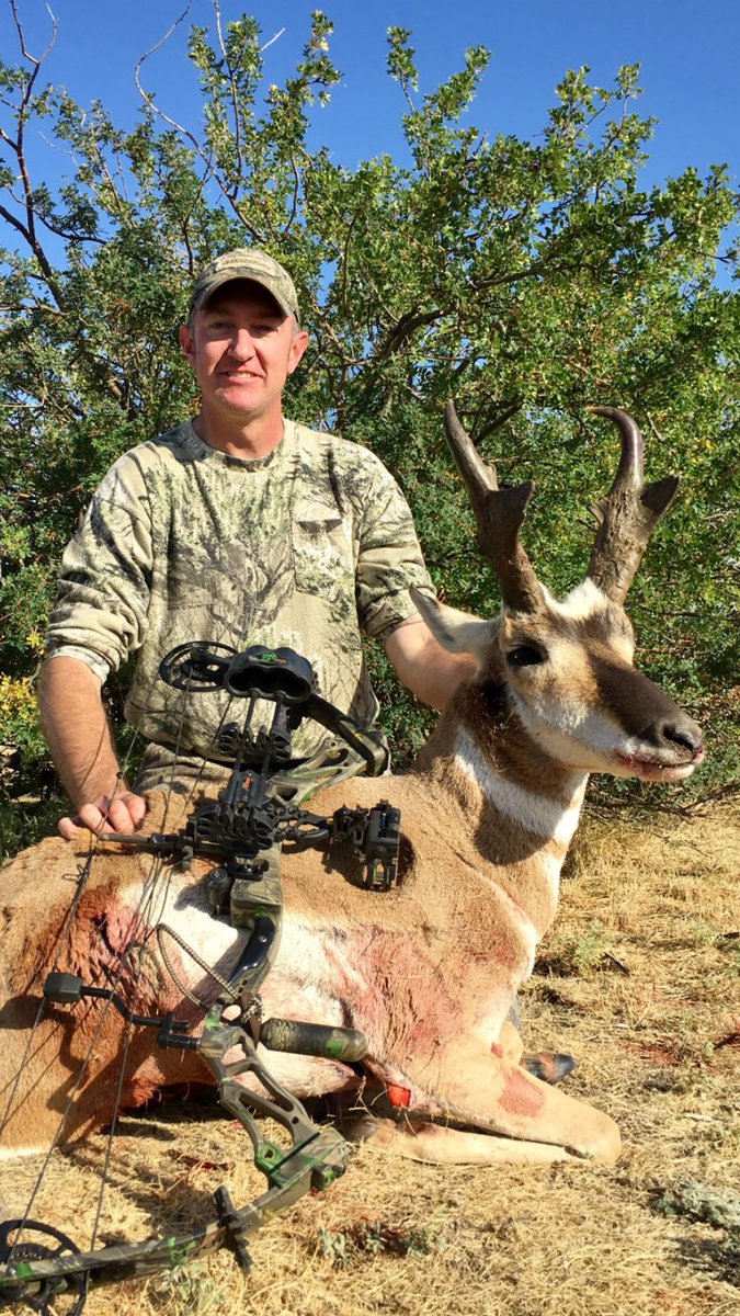 Cullboss's tweet photo. Public land speed goat 2017 #KeepItPublic #Montana https://t.co/ZNHd8pGjlF