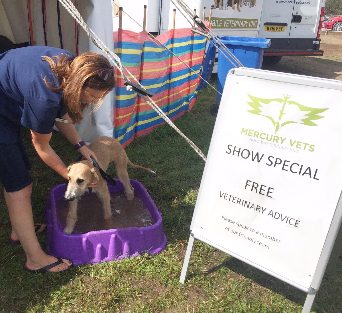 It's a hot day so don't forget to keep your dogs hydrated and in the shade. Mercury vets can be located next to Arena 2 for any advise 🐶