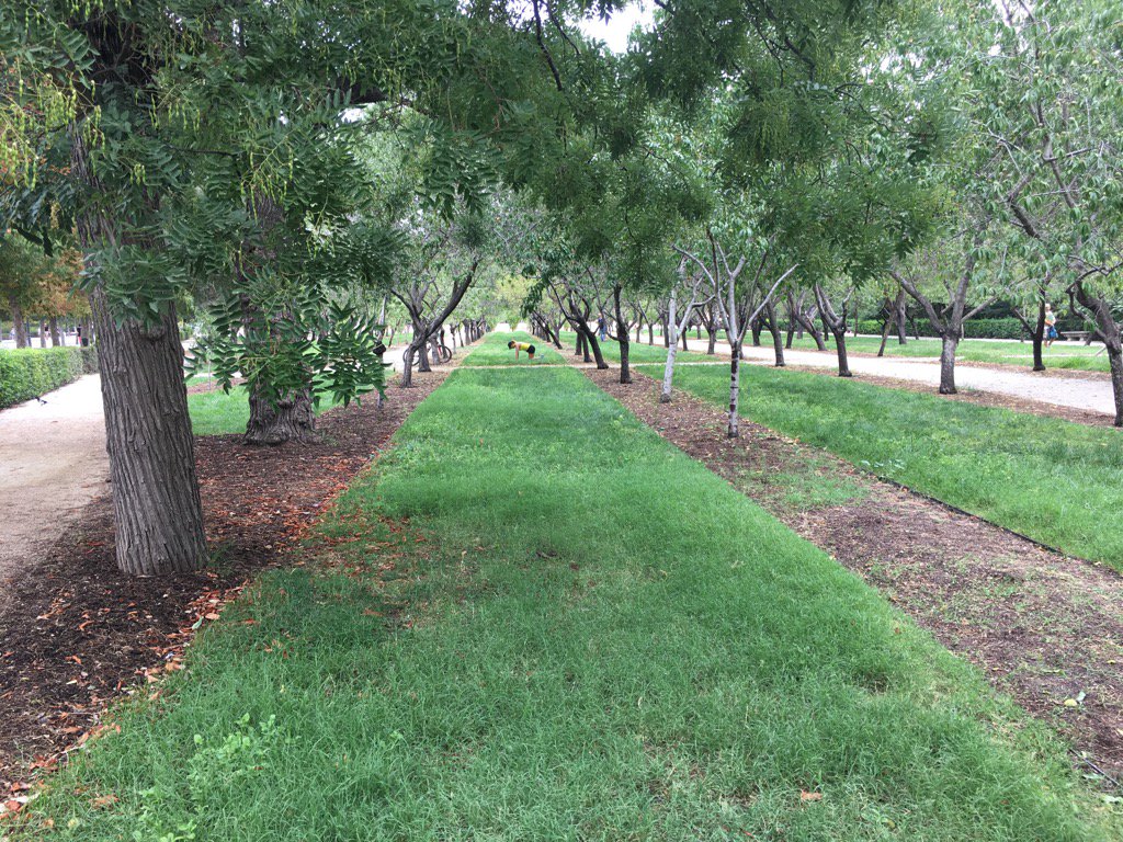 Beatspoke's tweet photo. @_ElRetiro porque se ha hecho esto a la zona de almendros?? La gente venía a hacer yoga, deporte, picnic! https://t.co/y1erg3ovLw