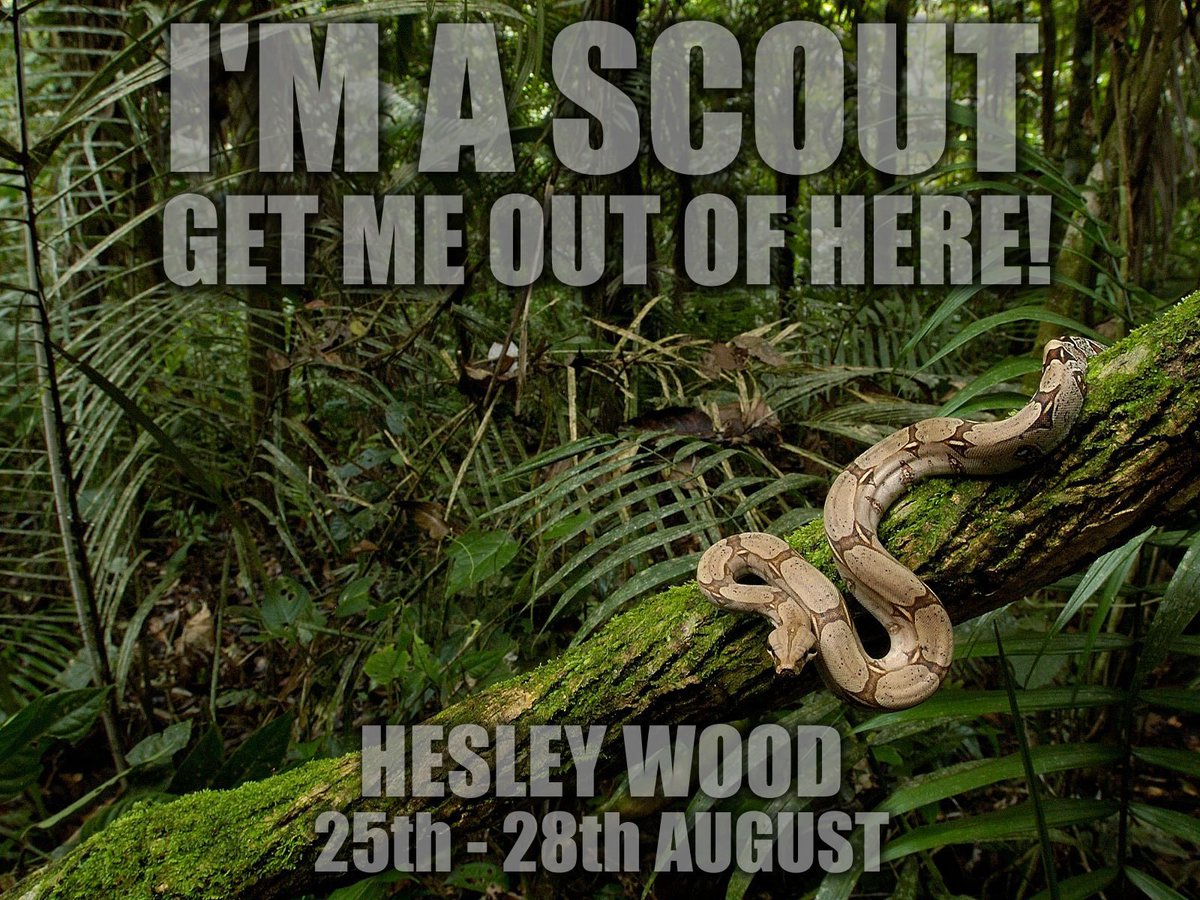 Here are our teams for the weekend!
#SnakeRock #CrocCreek #SpiderMountain #iScout