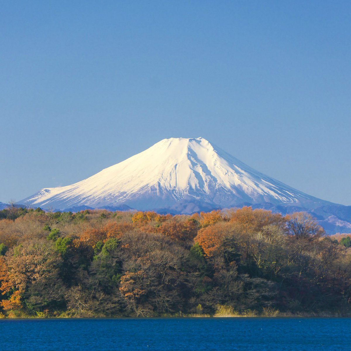 HiroRestaurant's tweet photo. udži je největší hora/sopka v Japonsku. Nádherná, že? 
Fuji is the biggest mountain/volcano in Japan. Beautiful, isn't it? 
#jidlo #Hiro https://t.co/tBSWjKCuCV