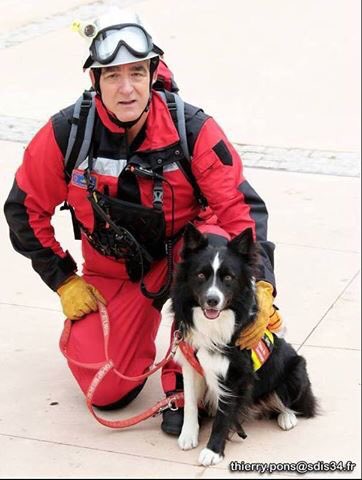PompiersHerault's tweet photo. Journée mondiale du chien 🐶 clin d'œil à l'unité cynophile du SDIS Hérault #toujourSPartants @SDIS34 https://t.co/kEGRtQqWsf