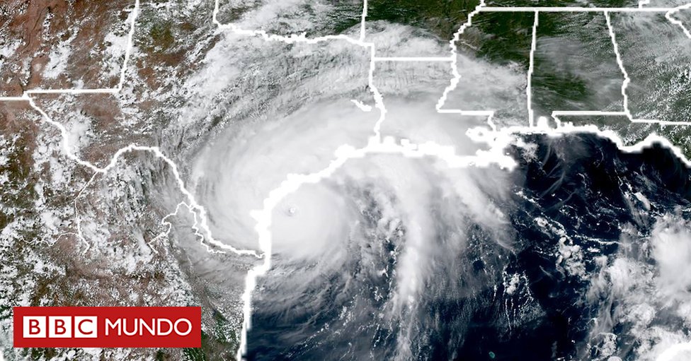 bbcmundo tweet picture