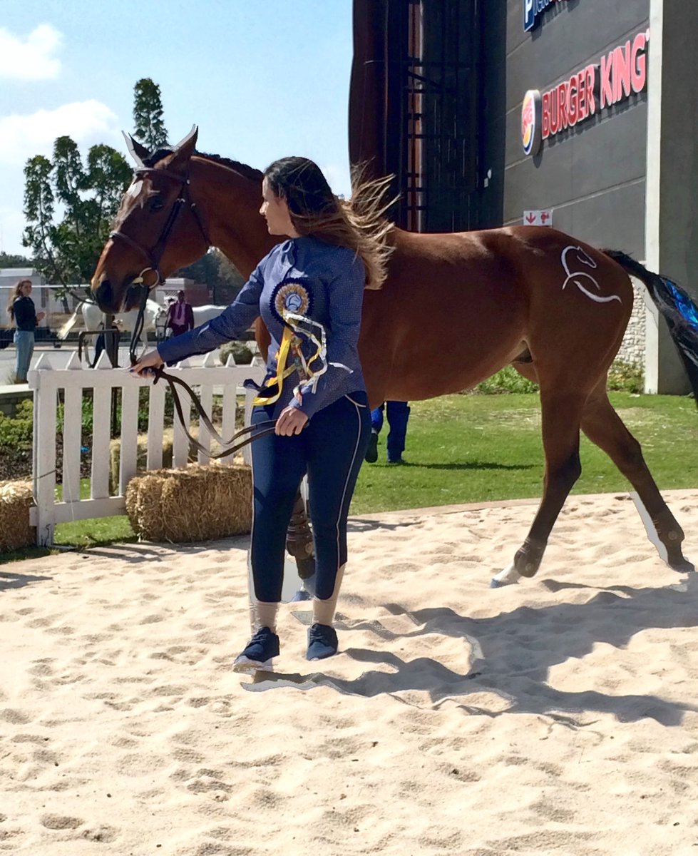 HRHMartinH's tweet photo. My favorite in the #HorseOfTheSeason competition #FortBay @KyalamiCorner https://t.co/EfeJNJRR78