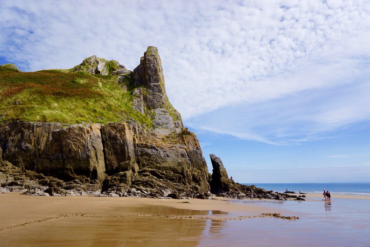 John Maclaughland tweet media