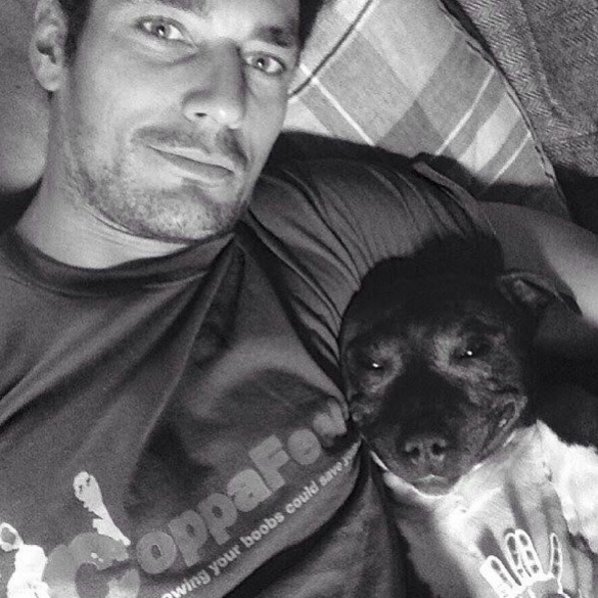 CoppaFeelPeople's tweet photo. Did we mention it's #NationalDogDay? No? https://t.co/45SzrfQ7Sg