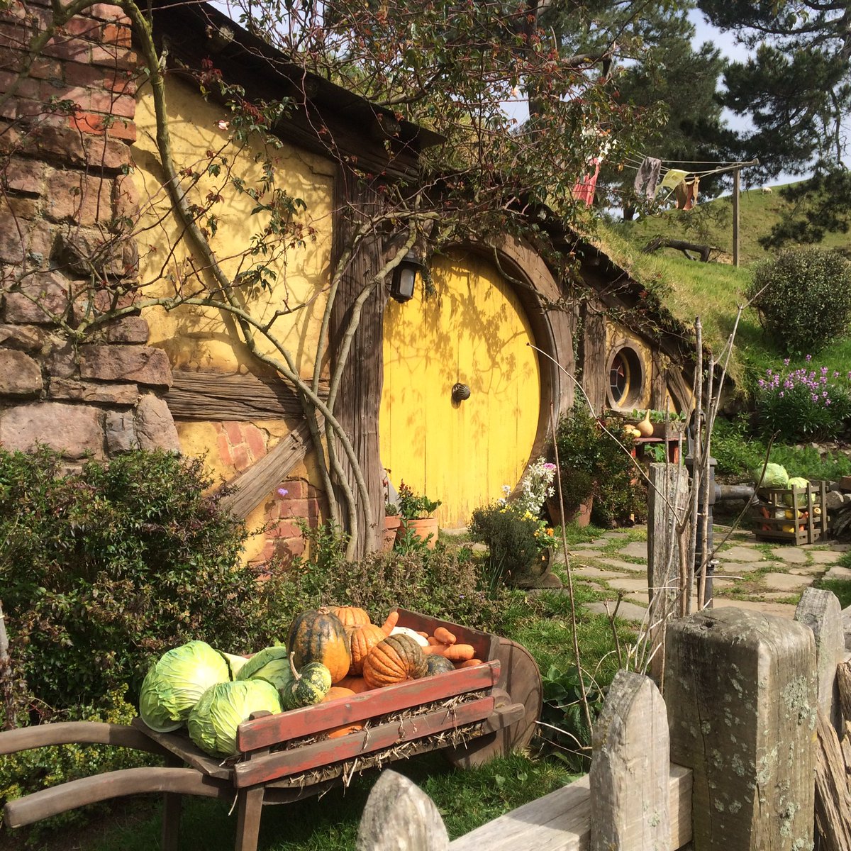 JenPetrie_86's tweet photo. My adventure continues ..... #Hobbiton #NewZealand #NorthIsland #Traveller https://t.co/whs8qX2nOA