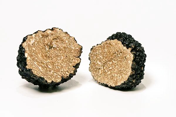 AlicanteGastro's tweet photo. Descubre todo lo que debes saber sobre el mundo de las #trufas de la mano de Fran Jiménez https://t.co/HEaRxGxRij
#gastronomia #Alicante https://t.co/D2f4xFSqqB