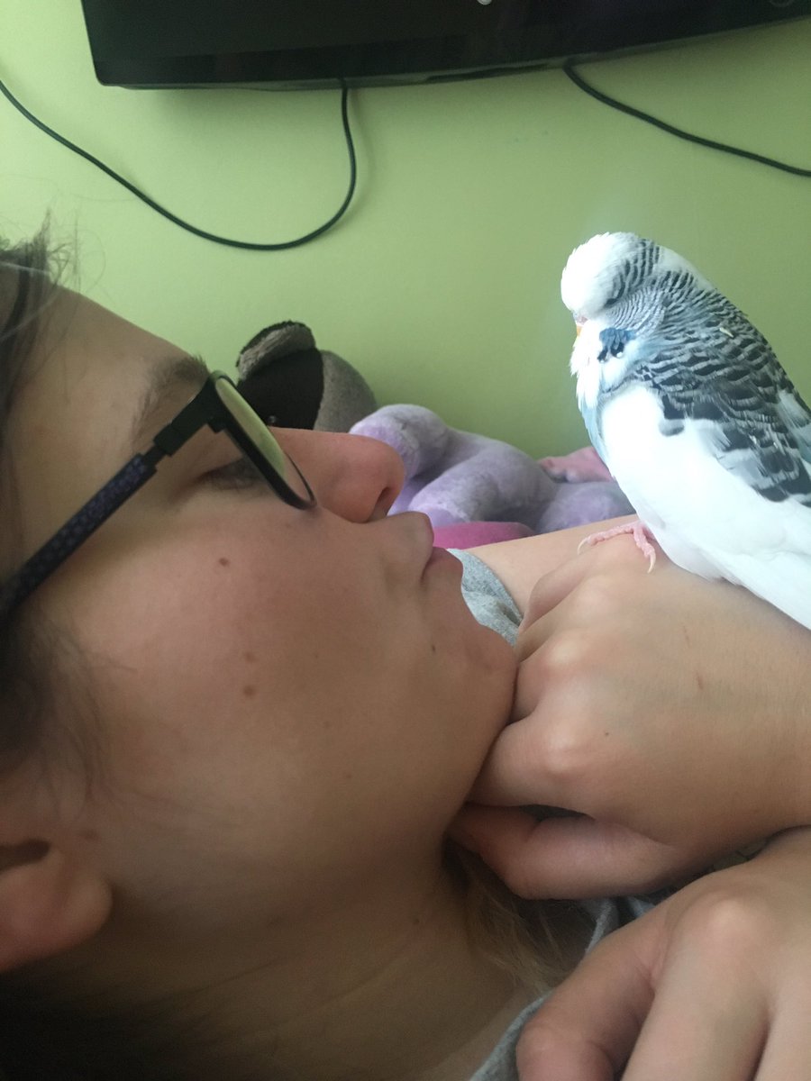 Get Spooked tweet media