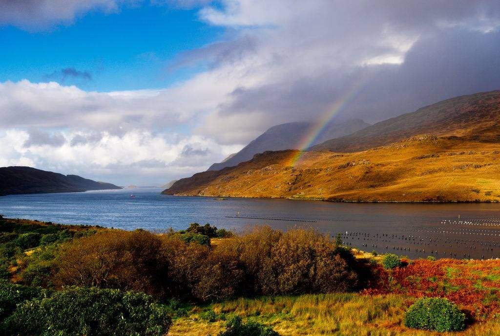 There's always treasure at the end of the rainbow. 📍Killary Harbor, County Mayo.

#LovingIreland #LovingMayo #Mayo buff.ly/2vq39Og