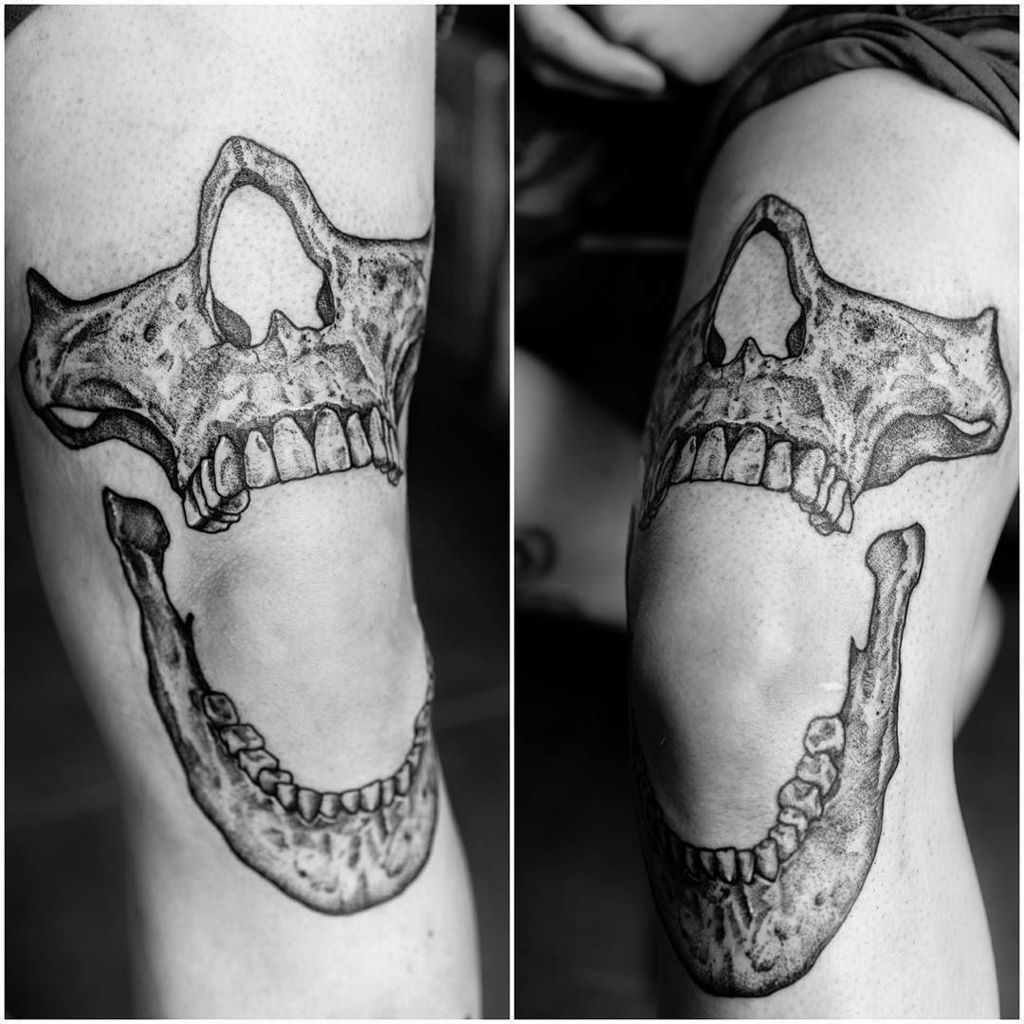 JRB Tattoo and Design  Below the knee bull skull    Made at  freestyletattoo canberra canberratattoo austrad oztrad oldlines  melbournetattoo tttism skinart tattoocommunity tattoo tattoos  oldschooltats classictattoo brightandbold 