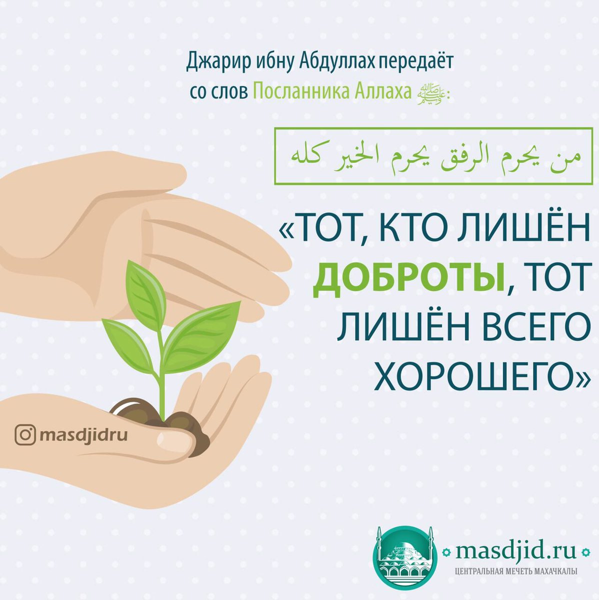 Соня Джаватова (@zonyadwatova) on Twitter photo 