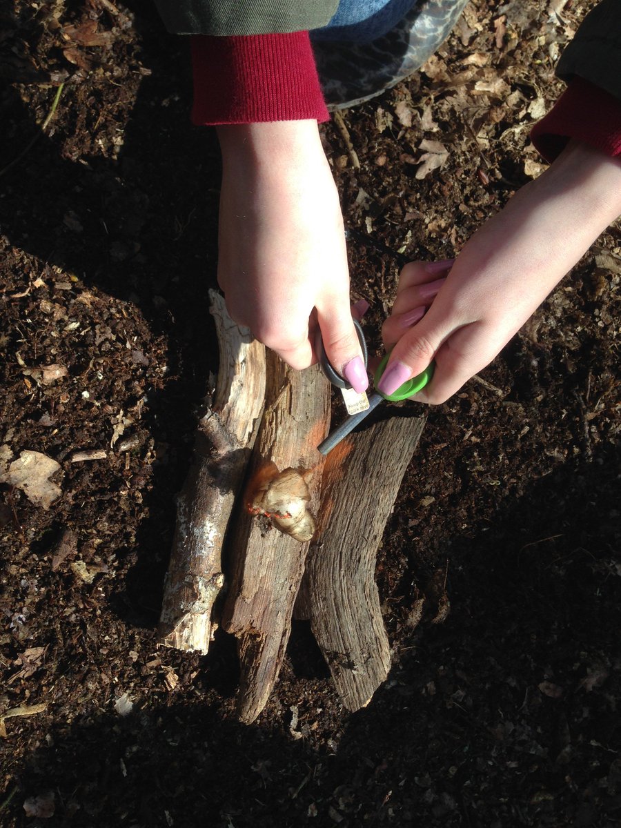 CoLEppingForest's tweet photo. #Bushcraft Event #Wanstead Pk Sat 9 Sept 10am–1pm. 6–12 yr olds. Fire lighting, animal tracking &amp; lunch! To book https://t.co/Yw7RikfdOe https://t.co/TVQG9RMaWO