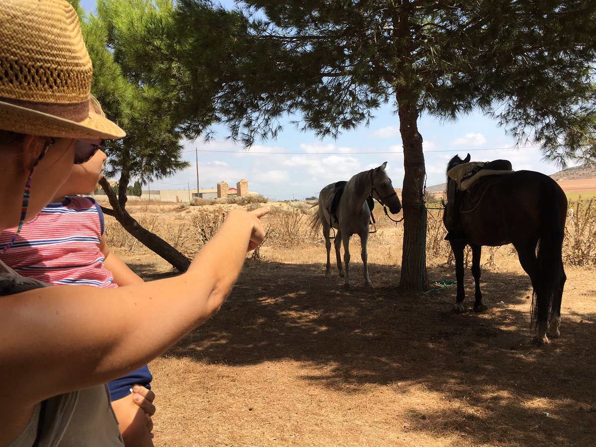 LauExposito's tweet photo. De romería! #SanGinésdelaJara #paradaenRoche #caballos #misobriyyo #vacaciones https://t.co/QrU2bigyi1