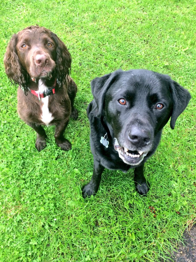 Max Harding OTRB 🌈 tweet media