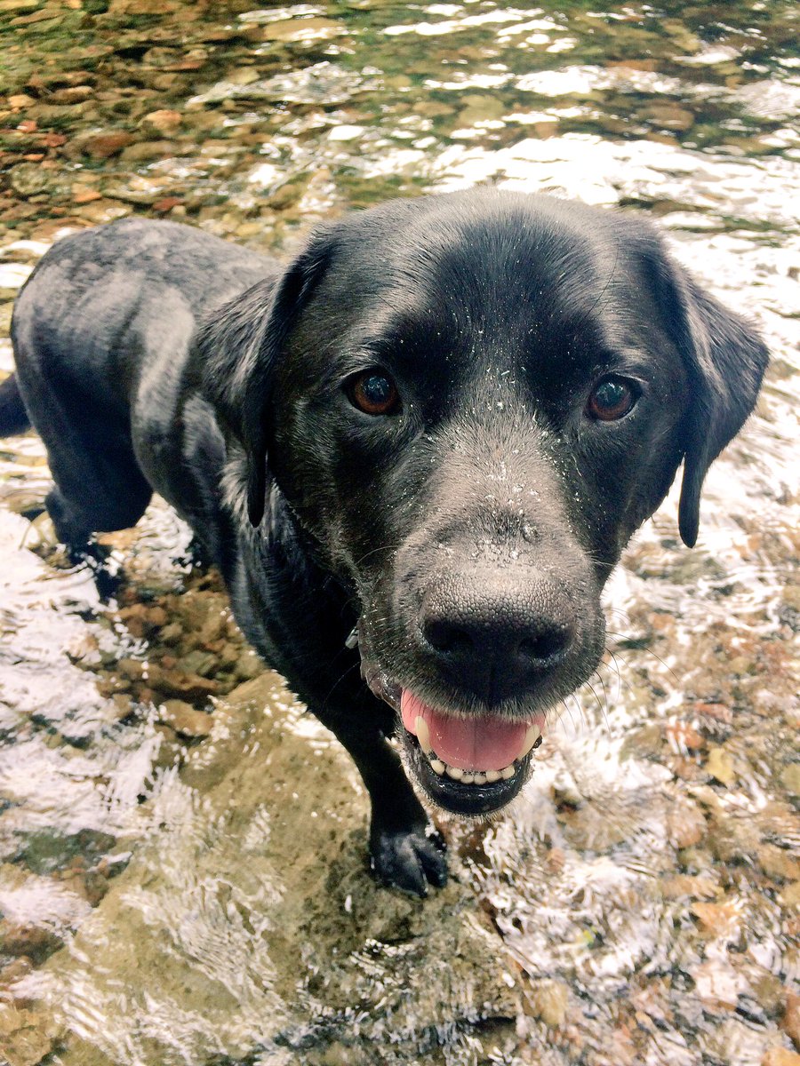 Max Harding OTRB 🌈 tweet media