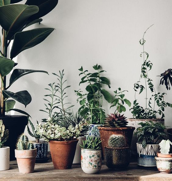 Looking to update your home interiors? Check out our top tips for creating an #ecofriendly environment 🌿   ow.ly/d2Wc30eEeCo
