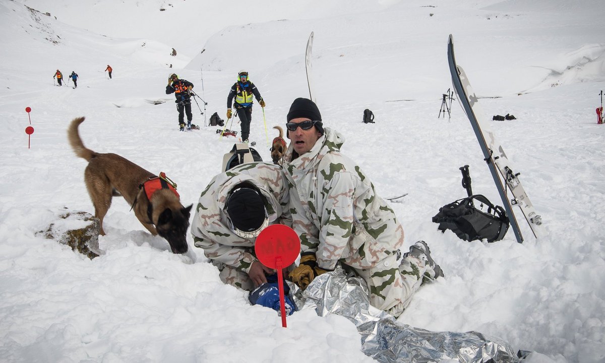 armeedeTerre's tweet photo. #JournéeMondialeDuChien 🐶 #JourneeInternationaleDuChien 🐕 Que saint Roch vielle sur nos soldats à quatre pattes #ChienMilitaire #DogLovers https://t.co/3S6tmH6O2A