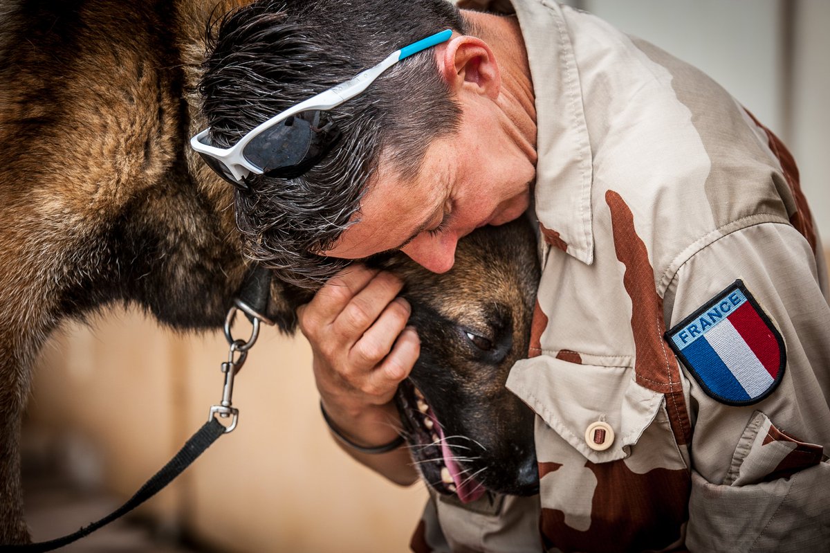 armeedeTerre's tweet photo. #JournéeMondialeDuChien 🐶 #JourneeInternationaleDuChien 🐕 Que saint Roch vielle sur nos soldats à quatre pattes #ChienMilitaire #DogLovers https://t.co/3S6tmH6O2A