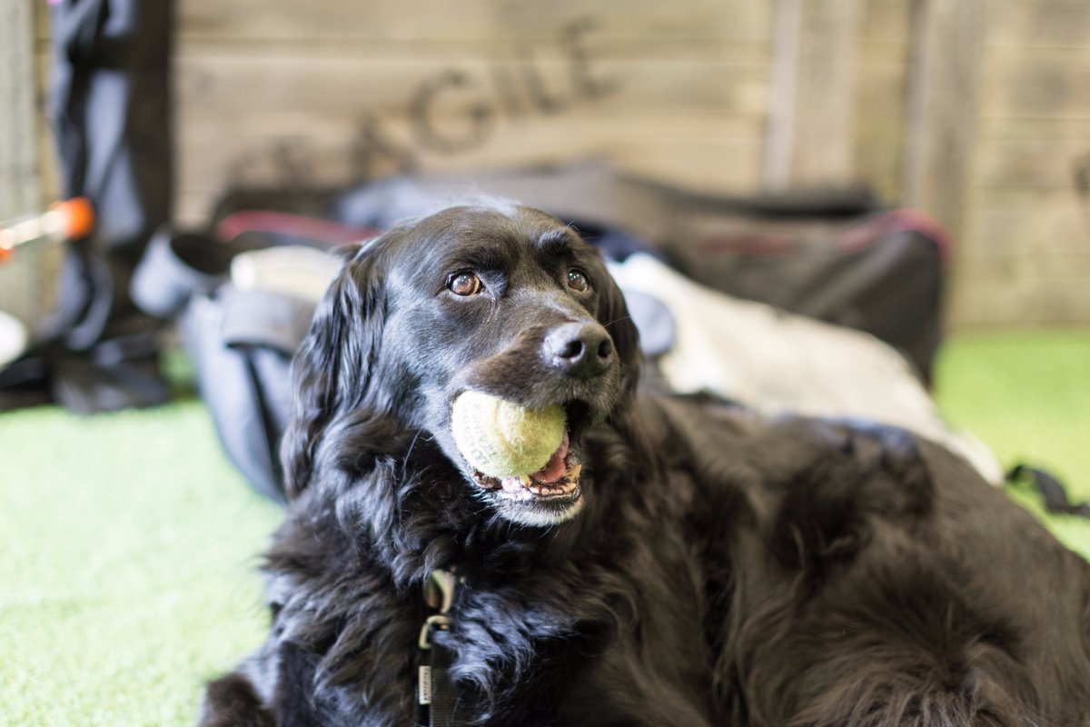 Hazel Osborn tweet media