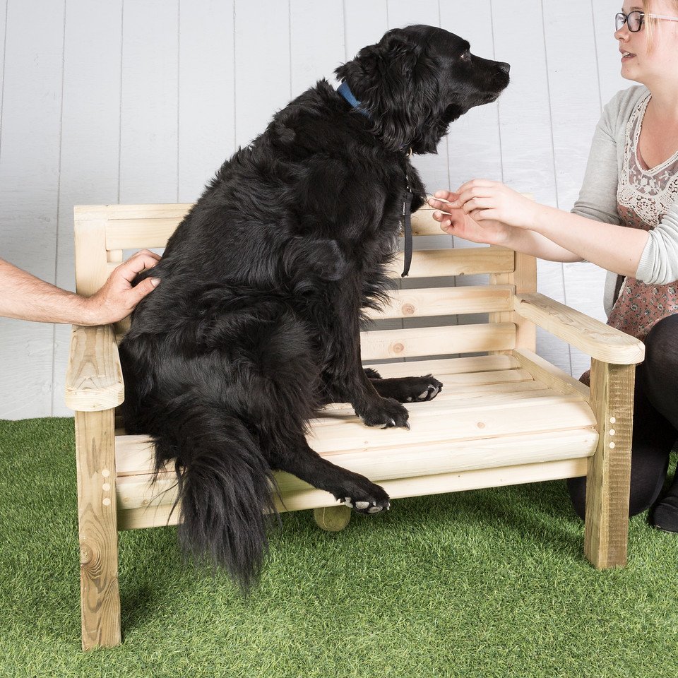 Hazel Osborn tweet media