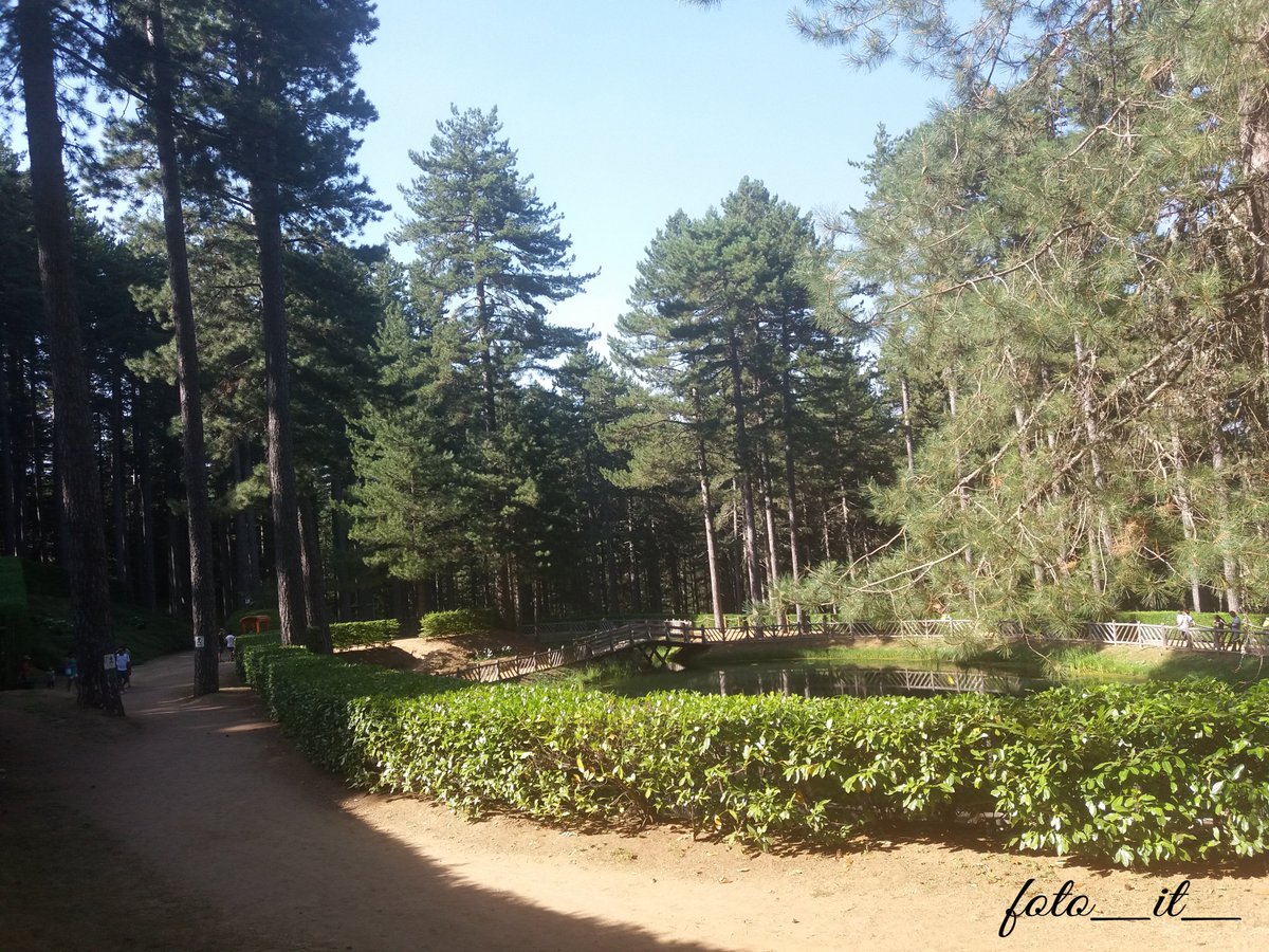 PARCO NAZIONALE DELLA SILA - VILLAGGIO MANCUSO (TAVERNA-CZ)
#photography #photo #nature