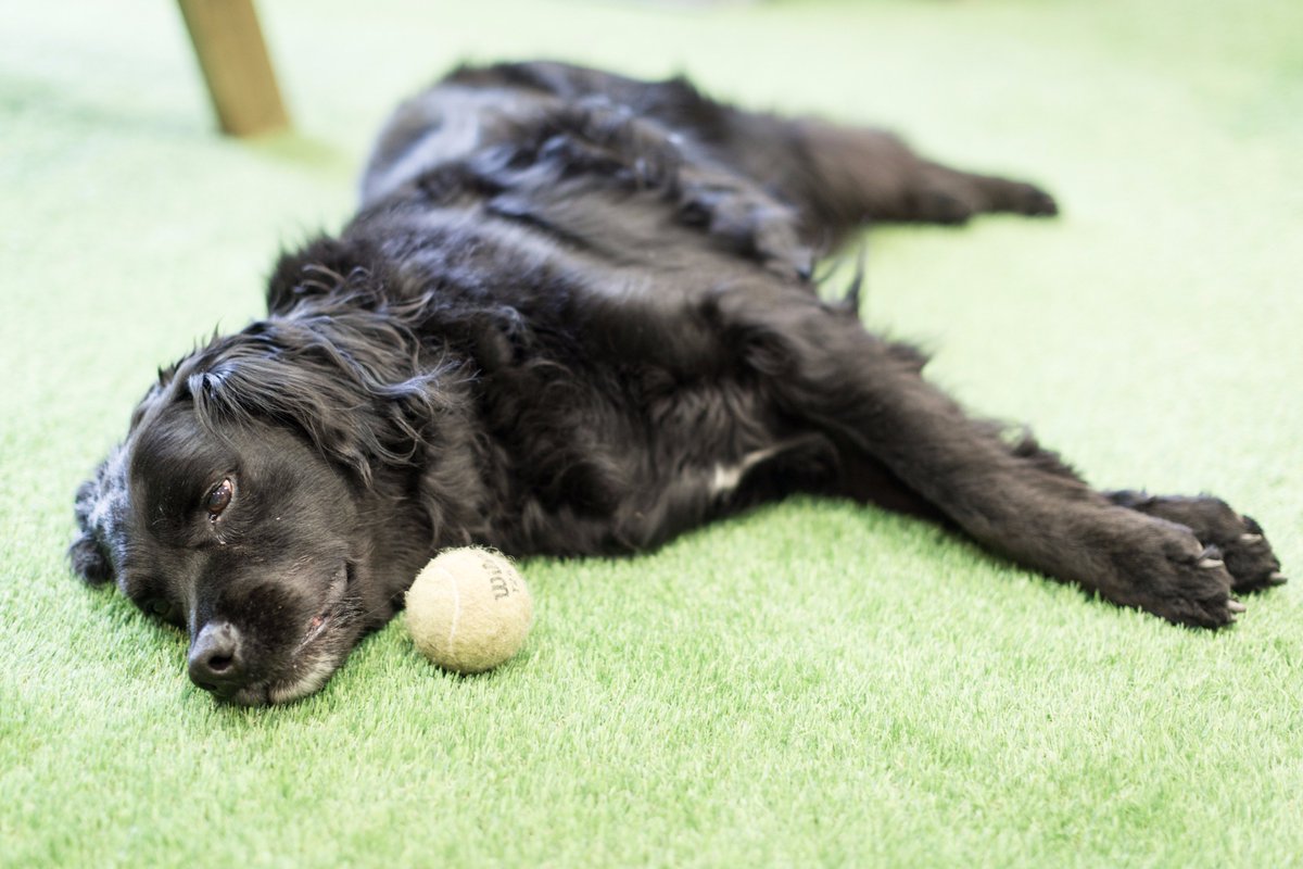 Hazel Osborn tweet media