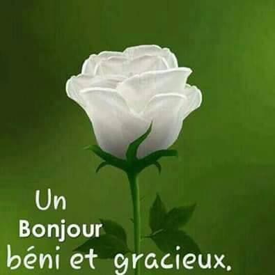 CallzonaFr's tweet photo. Bon samedi à tous https://t.co/iq0PrRJBSP