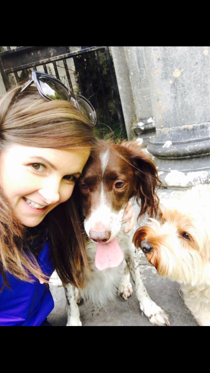 EricaForde's tweet photo. Happy #NationalDogDay 💖 https://t.co/slwlaz9H9Z