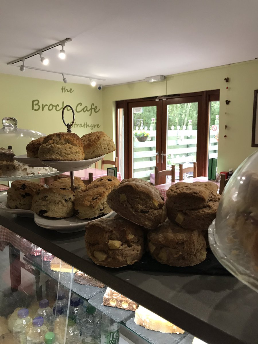brochcafe1's tweet image. Apple and cinnamon scones straight from the oven @brochcafe1. Hurry because when they're scone, they're scone!! #sconeandcoffee #brochbakers