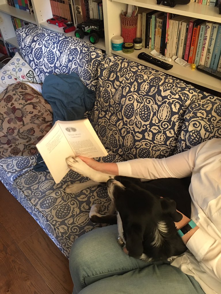 JoFranklinBooks's tweet photo. @LDNLibraries @ideastores @wandsworthlibs @RichmondLibs @Hill_libraries @WCCLibraries @BarnetLibraries @enfieldlibrary @RedbridgeLibs @Islingtonlibs @SuttonLibraries Or get your human to read to you #internationaldogday #readwithyourhuman #lovelibraries This is Mickey https://t.co/Ski812JOeR