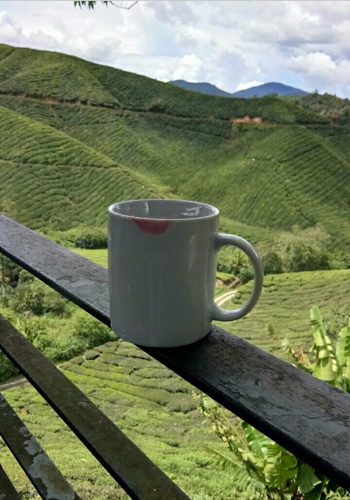 meSayanti's tweet photo. ☕A perfect #TeaTime place, #BOH #TeaGarden #cafe. Tried d #StrawberryRaspberry blend and it felt like sipping #love from a cup 😘 #travelblog https://t.co/cuCToZ97hR
