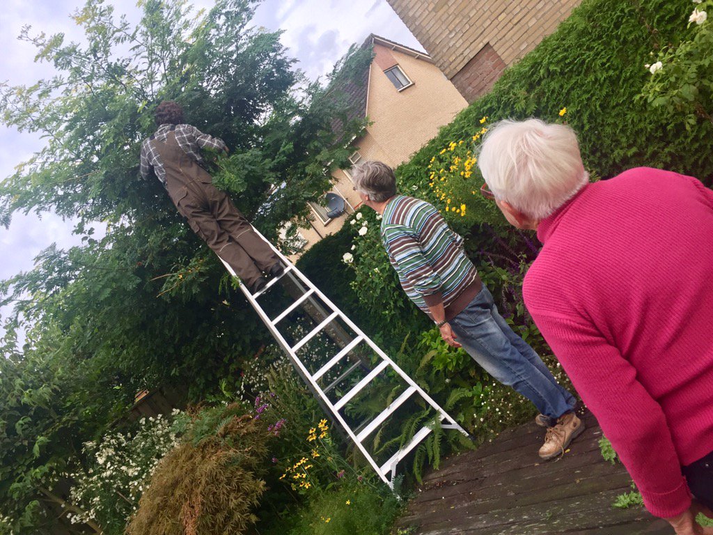 TERUGBLIK: Hovenier Helpt in Uden: 'Beter een goede hovenier dan een verre vriend' omroepbrabant.nl/?news/25543164…